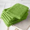 gant-de-toilette-professionnel-vert-cactus