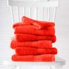 Linge de toilette collectivité en couleur -HELENE - 450g/m²